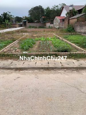 CHÍNH CHỦ BÁN 50m2 TRỤC CHÍNH THÔN QUẢNG NINH, HIỀN NINH, SÓC SƠN