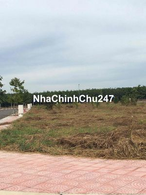 chủ ngộp bank cần bán gấp lô đất 80m2 giá chỉ 390triệu