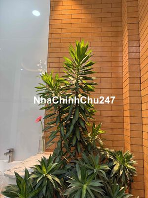 Chủ muốn bán trước tết 1 / ĐƯỜNG LÊ VĂN QUỚI , 4 x 14m