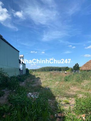 Chính chủ bán 292 m2 thổ cư 100m2 bán 180 triệu bao sổ