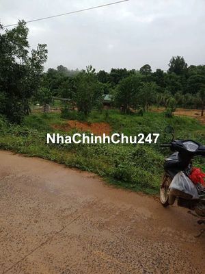 Đất vườn chính chủ