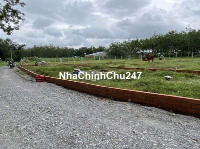 Đất Gò Dầu, Tây Ninh - full thổ cư 315m2 - SHR