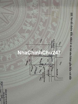 Bán đất tại Nguyễn Xí, P11, Q.BT, HCM, giá siêu hời (còn TL)