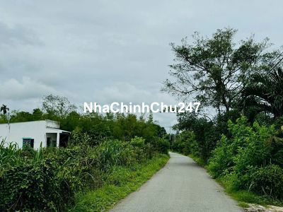 Bán đất 1.8 ha đường nhựa1 / Đổ Đăng Tuyển