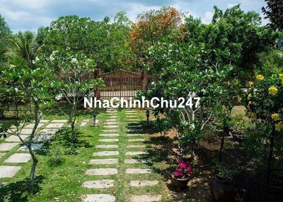 Bán lô đất ở xã Chà Là - huyện Dương Minh Châu 1000m2