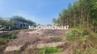 bán gấp 20x47,200m2 thổ cư, cù chính lan, Tân Bình, LaGi. 200tr /1m