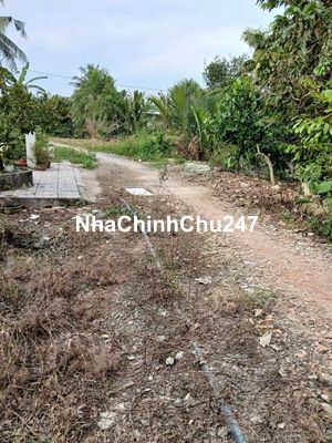 Bán Đất TC Cất Nhà Dc Luôn Gần Chợ, Khu CN, Gần Đường 917Thêm Mé Sông