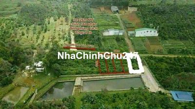 Đất đẹp hẻm thông sẵn thổ cư TP Bảo Lộc