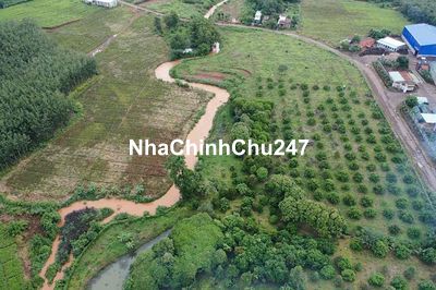 Cần bán đất ở Bình Phước-Bù Gia Mập của chính mình là chủ đất