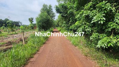 Cần bán 7336 m2 đất tại Chơn Thành, Bình Phước