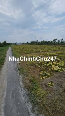 175tr có ngay lô nền (5x33) tại Phước Trung, Gò Công Đông, Tiền Giang