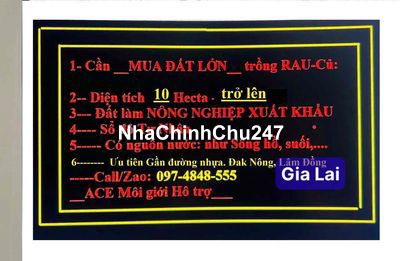 🛑🛑🛑 Cần TÌM đất diện tích LỚN Làm Nông Nghiệp!