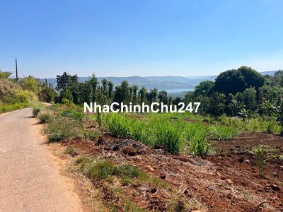 Tân nghĩa View Sông 11m Mặt tiền Đường Bê tông 550tr, Thổ Cư, Sổ Sẵn.