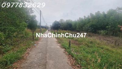 Chỉ 800 triệu sở hữu đất Hẻm Nguyễn Chí Thanh - Tân Bình - TX LaGi sổ