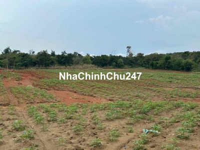 Cần bán gấp 12.8571m2 đất Ở Đồng Phú Giá 999trieu