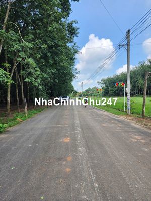 ĐẤT NỀN GIÁ RẼ BÌNH DƯƠNG CHỈ 450 TRIỆU/250M2/SỔ ĐỎ/ĐƯỜNG NHỰA 8M