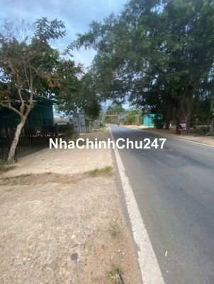 Chính chủ rất ngộp bán 1,3ha đất mặt tiền TL713, Xã Đoàn Kết, Đạ Huoai