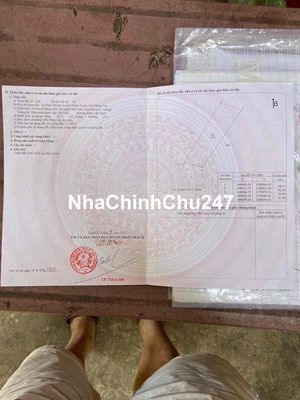 giá chính chủ