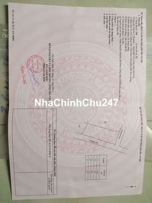 Đất nền 100% thổ cư