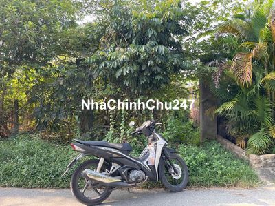 Bán nhanh lô đất thổ cư 234 m2 đường nhựa 575,Trung Lập Hạ