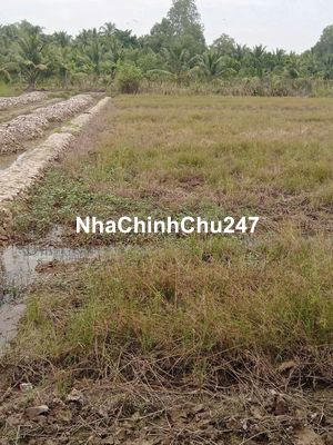 CHÍNH CHỦ CẦN BÁN 584M2 10x58 CLN, QH THỔ CƯ - LIỀN KỀ TP.VL