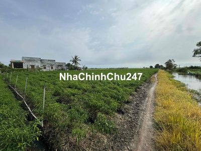 em chính chủ cần bán miến đất cây hàng năm