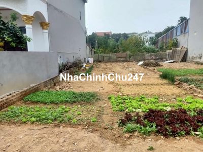 ĐẤT QUANG TIẾN, SÓC SƠN - VIEW CÁNH ĐỒNG - ĐƯỜNG 8M - ĐẦU TƯ TIỀM NĂNG