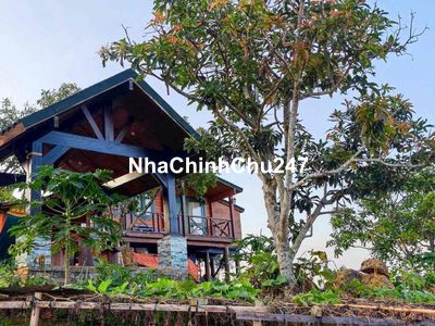 Chính chủ kẹt tiền bán rẻ căn nhà gỗ tâm huyết view 360• Săn mây