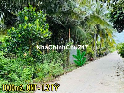 Hàng hiếm, thổ full 1000m2 (30x33) , giá chỉ 1,2 tỷ, đường ô tô