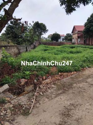 Bán đất 200m mặt thôn Long lanh , xã Bảo đài , Lục Nam