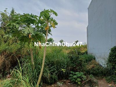 CẦN BÁN GẤP LÔ ĐẤT CHÍNH CHỦ 60m2 GIÁ 420TR NGAY TẠI PHƯỜNG TÂN PHONG