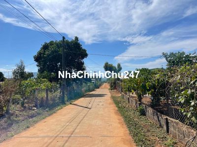 Đất hẻm 1024 trường chinh