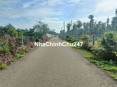 Chỉ 990tr có ngay lô đất 505m2 đường nhựa kế bên nhà thái đẹp như hình