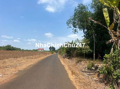 🏡 CHÍNH CHỦ BÁN GẤP 320M² ĐẤT – GIÁ CHỈ 290 TRIỆU 🔥