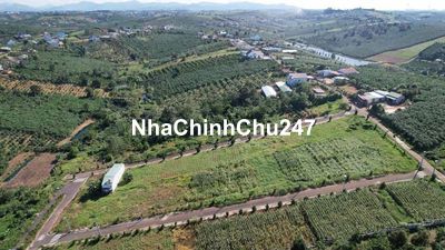 Chính chủ bán gấp 200m2 ngang 10 ngay khu nghỉ dưỡng Olala glamping