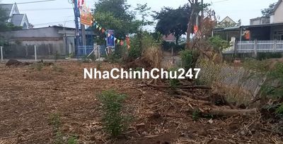 Bán đất chính chủ ngã 3 - 2 mặt tiền đường