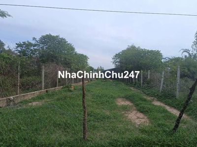 Chính chủ bán đất 344m2, mặt tiền 8m An Lợi 3, P.An Hoà, TX Trảng Bàng