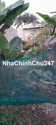 Do chuyển công tác, chính chủ cần bán