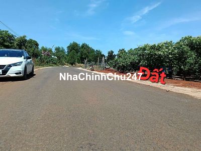 Chính chủ bán lỗ 250m/100TC/215trieu bán lẹ