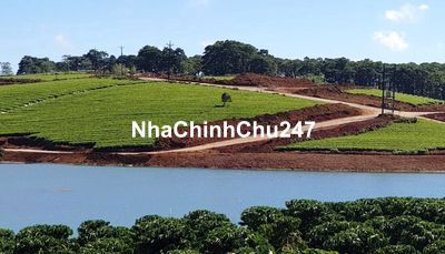 Chủ đất đang ngộp cần bán gắp