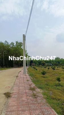 Chủ kẹt tien gâp cần bán  260m có 100m thổ cư trên đất