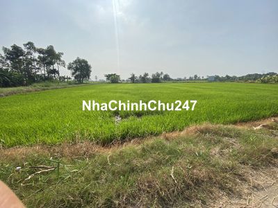 Đất thổ cư chính chủ. Đất đẹp sạch .Mua nhanh có quà