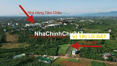 Chính chủ bán lô đất 178.4m2 thổ cư trung tâm Lộc An