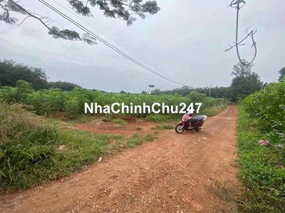 Chính chủ gửi bán 2 lô đất sào cây lâu năm thuộc Long Phước,Bà Rịa