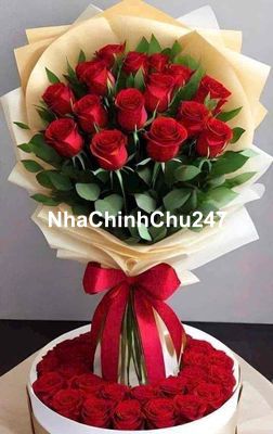 NHÀ CHÍNH CHỦ CẦN BÁN GẤP GIÁ RẺ NGAY TÂN BÌNH