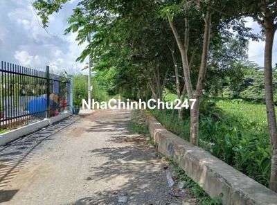 BÌNH MỸ CHỦ GỬI BÁN GẤP MẶT TIỀN RẠCH THOÁNG MÁT CHỈ 550TR