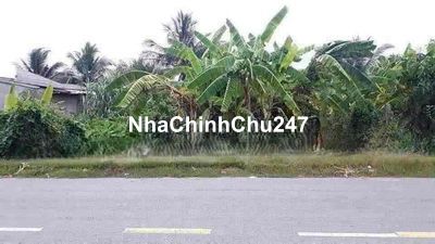 Chính chủ bể nợ bán Đất MT Đinh Đức Thiện , Bình Chánh 160m2 SHR