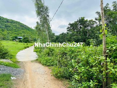 BÁN ĐẤT MẶT ĐƯỜNG XÃ VĨNH LƯƠNG – NHA TRANG (1.950m²) | FULL THỔ CƯ |