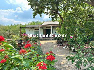 Chủ ngộp cần ra nhanh lô đất 1385,4m2 (100m2 TC)