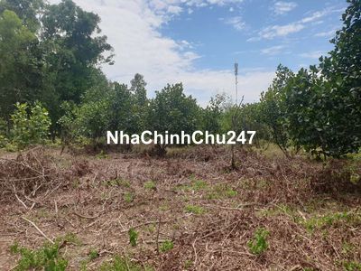 CHÍNH CHỦ BÁN GẤP 1HA ĐẤT TRẢNG BÀNG 400M2 THỔ CƯ